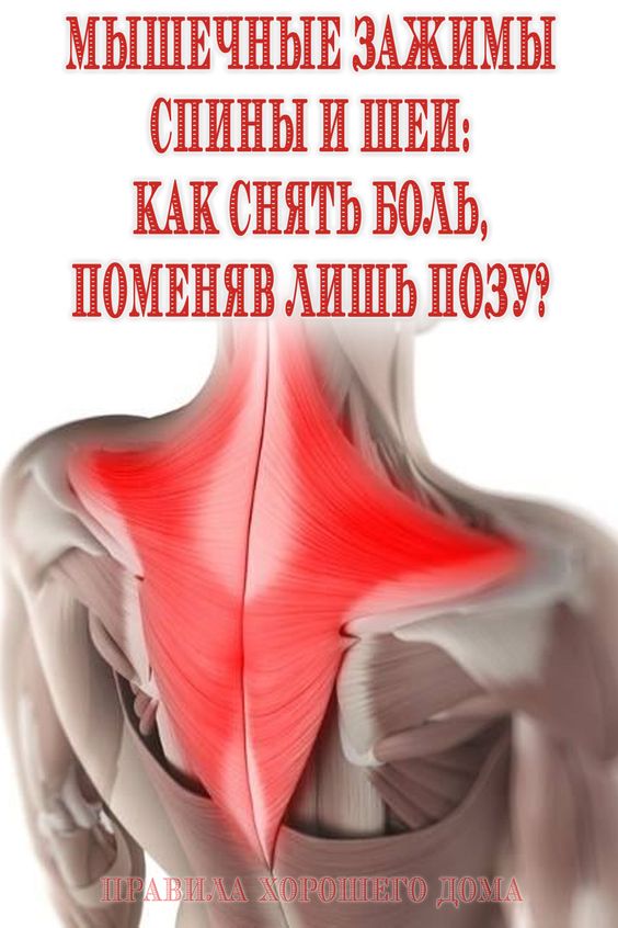 Мышечные зажимы спины и шеи: как снять боль, поменяв лишь позу
