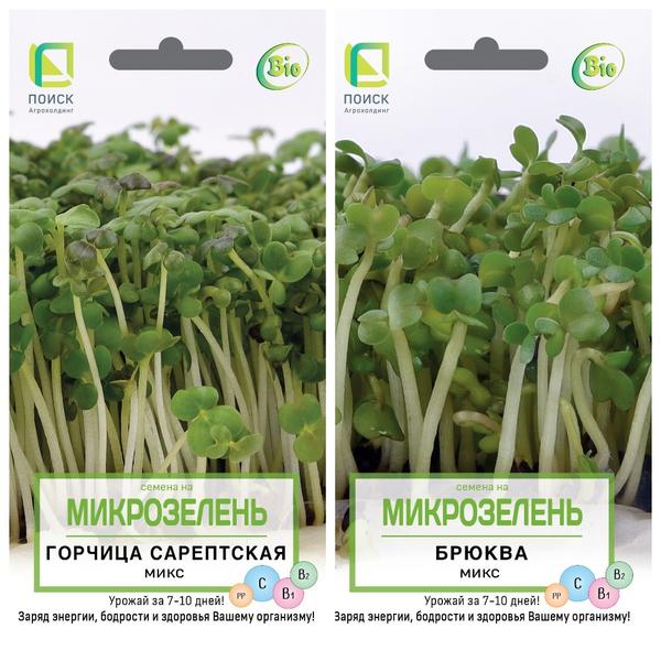Для выращивания микрозелени лучше покупать специальные семена - они не обработаны химическими препаратами