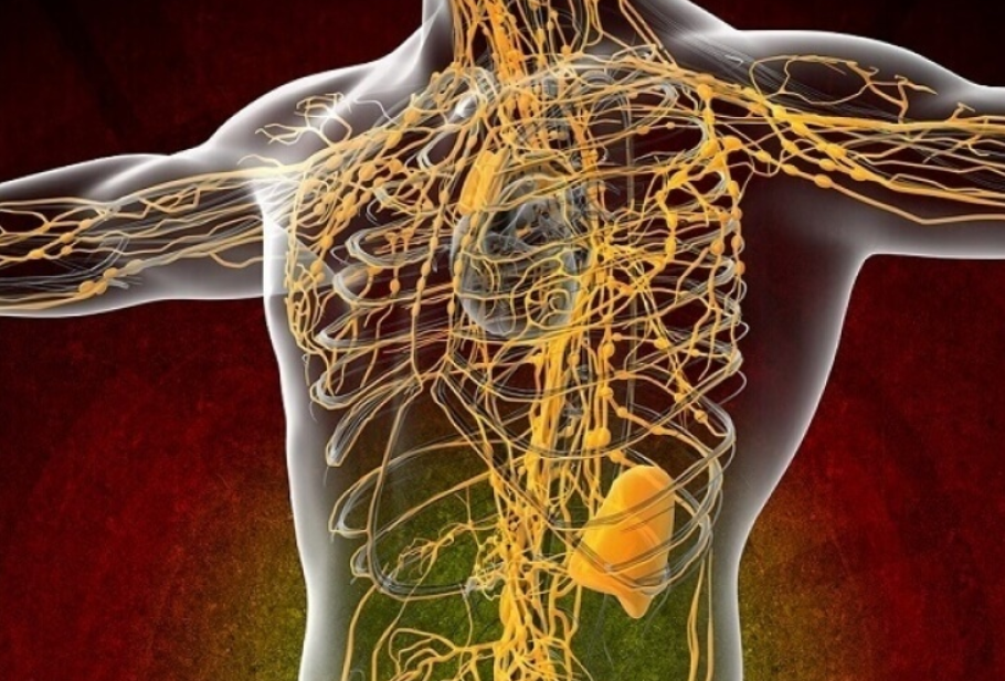 Лучшие рекомендации по очищению лимфатической системы