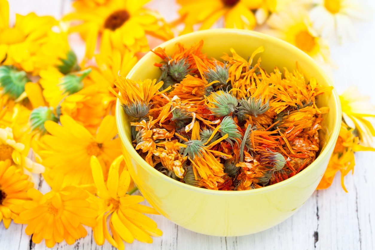 На что способны цветки календулы: ее экстракт входит в состав более 200 медицинских препаратов!