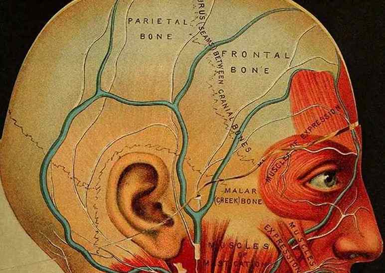 Психосоматика головных болей: Что у тебя болит в действительности