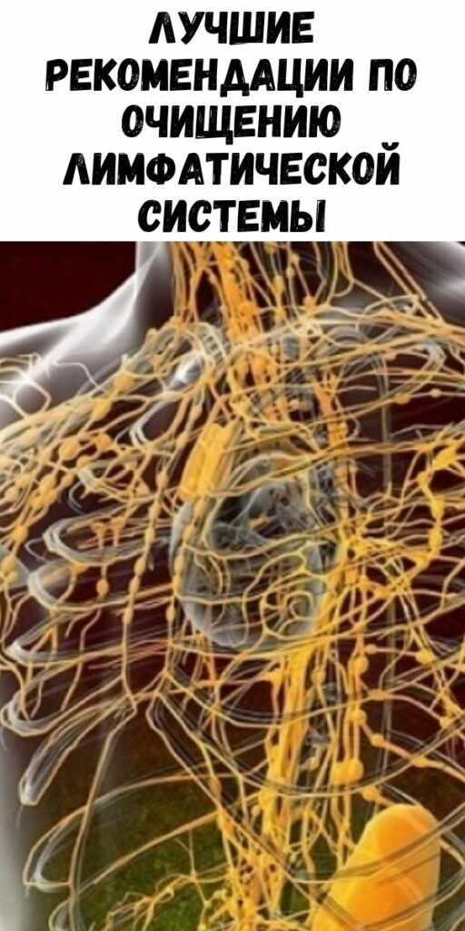 Лучшие рекомендации по очищению лимфатической системы