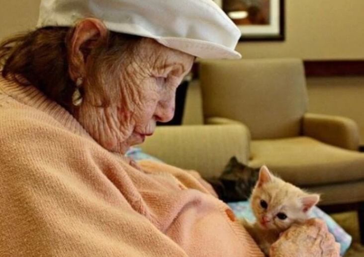 Дом престарелых, здесь заботятся о пенсионерах и о брошенных животных
