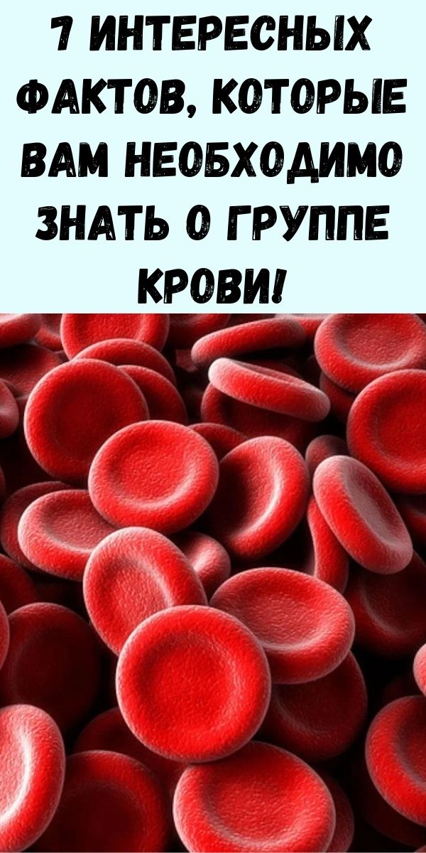 7 интересных фактов, которые вам необходимо знать о группе крови!