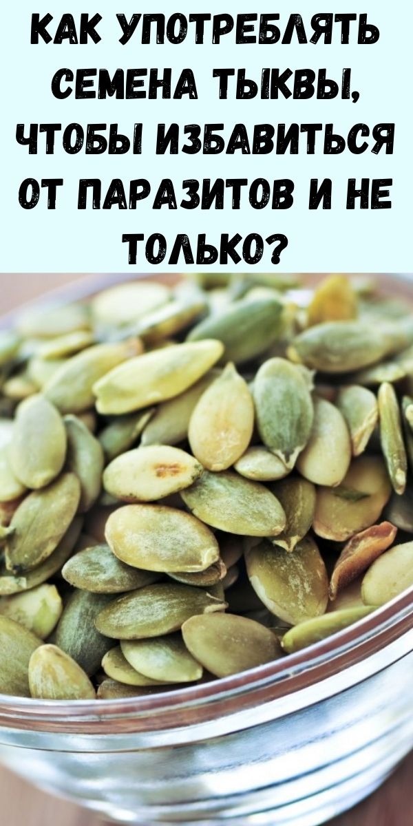 Как употреблять семена тыквы, чтобы избавиться от паразитов, холестерина, триглицеридов, диабета, запоров и не только?