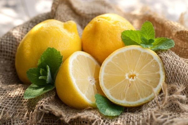 Лимон – лечебные свойства и вред