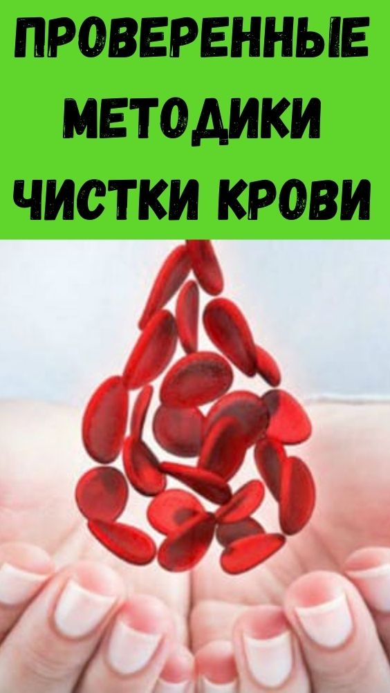 Проверенные методики чистки крови