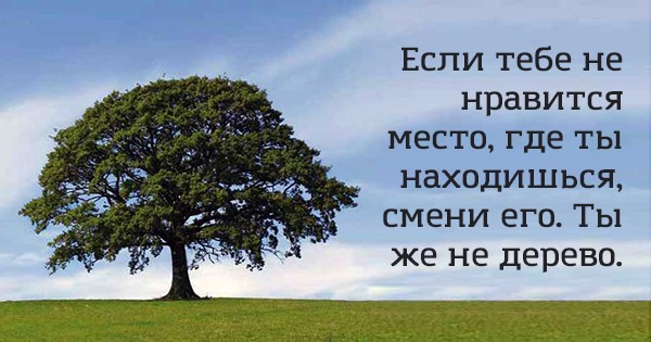 Сохрани себе эти советы в картинках и просматривай их, когда тебе будет грустно