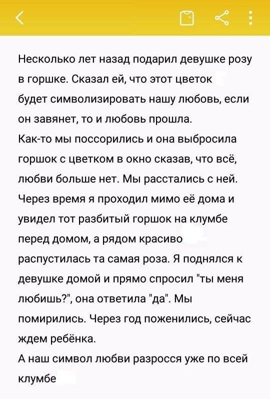 14 самых интересных невыдуманных коротких историй, анекдотов и фраз, которые обязательно поднимут вам настроение